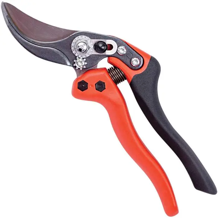 Professional pruning shears with an ergonomic handle